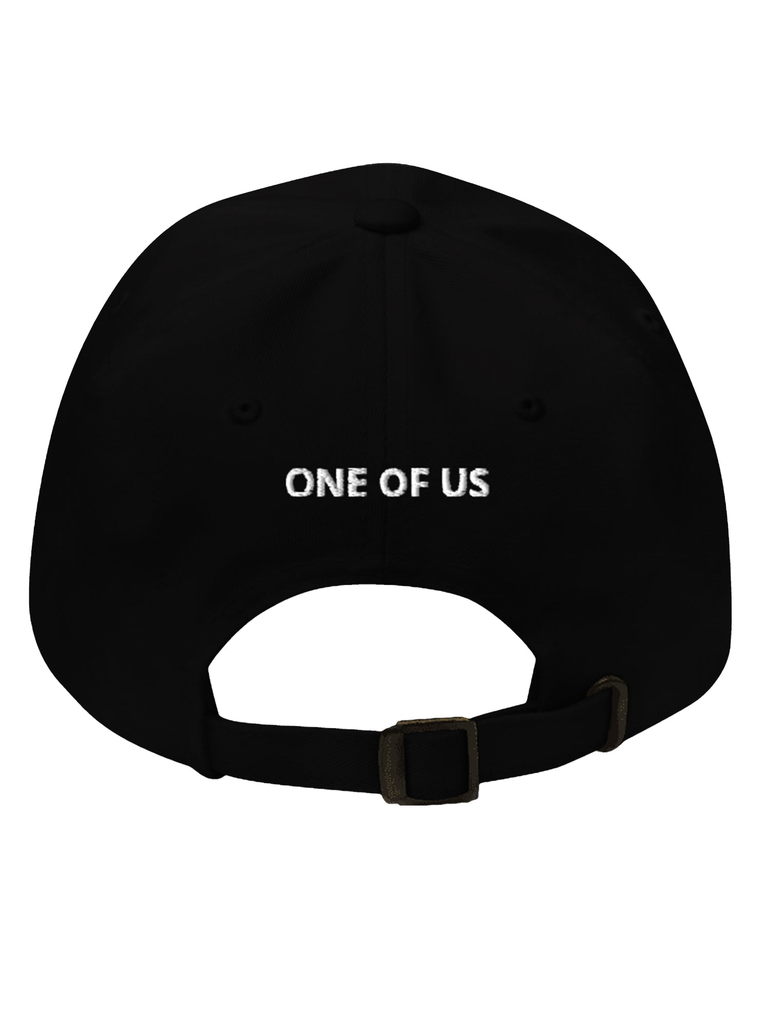 NPC LOGO HAT
